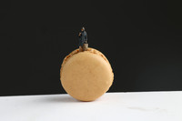 Year 5 & 6 studio macro photography