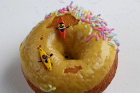 Year 5 & 6 studio macro photography