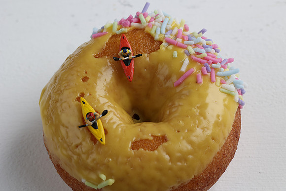 Year 5 & 6 studio macro photography