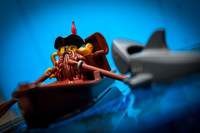 Pirate